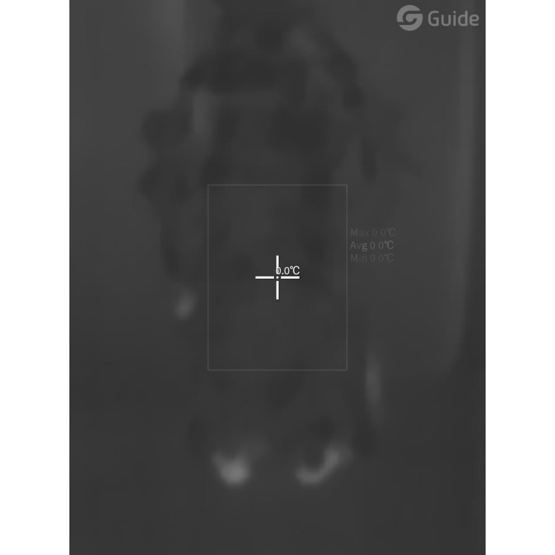 Пончо - кікімора, Антитепловізор