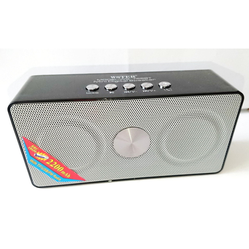 Пригнічувач диктофонів WSTER