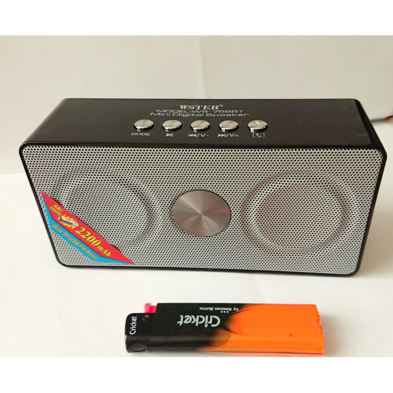 Пригнічувач диктофонів WSTER